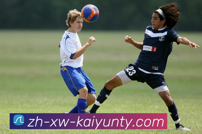 ky开云APP 封面图